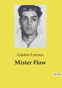 bokomslag Mister Flow