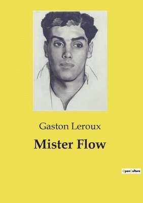 bokomslag Mister Flow