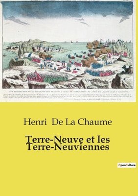 bokomslag Terre-Neuve et les Terre-Neuviennes