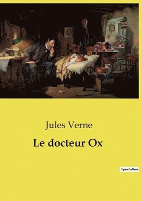 bokomslag Le docteur Ox