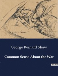 bokomslag Common Sense About the War
