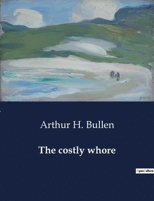 bokomslag costly whore