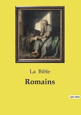 bokomslag Romains