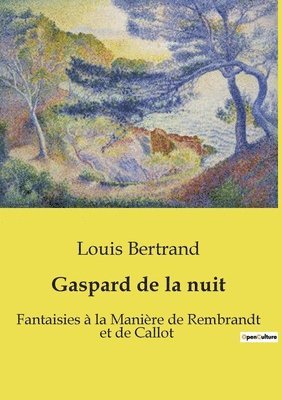 bokomslag Gaspard de la nuit