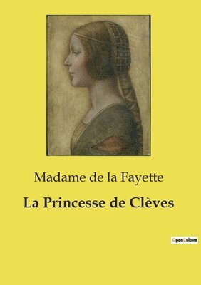 bokomslag La Princesse de Clves