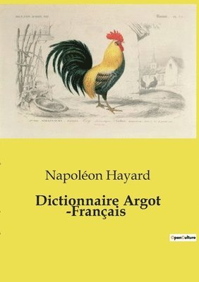 bokomslag Dictionnaire Argot -Franais