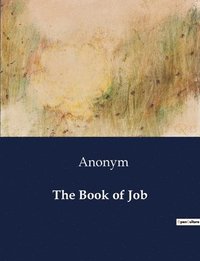 bokomslag Book of Job