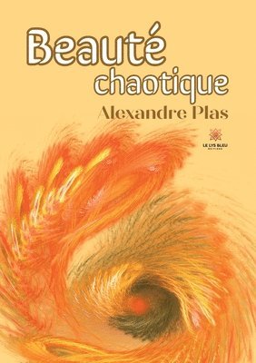 bokomslag Beauté chaotique