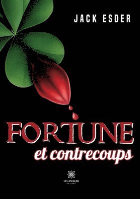 bokomslag Fortune et contrecoups