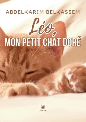 bokomslag Lo, mon petit chat dor