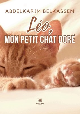 Abdelkarim Belkassem - Léo, mon petit chat doré, Häftad