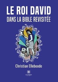 bokomslag roi David dans la Bible revisitée