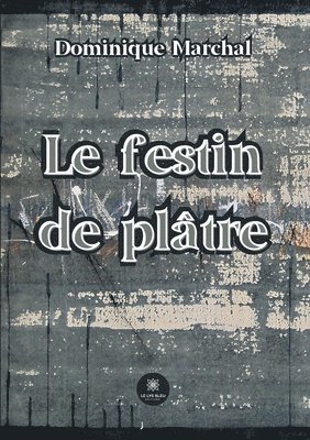 bokomslag festin de plâtre