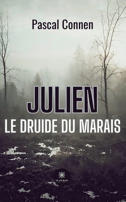 Julien Le druide du marais 1