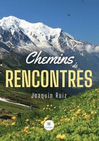 bokomslag Chemins de rencontres