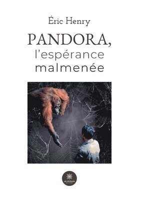 bokomslag Pandora, l'esprance malmene