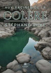 bokomslag Aux racines de la colère