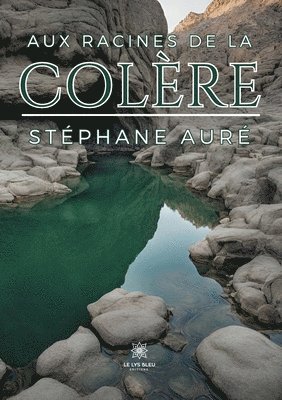 bokomslag Aux racines de la colère