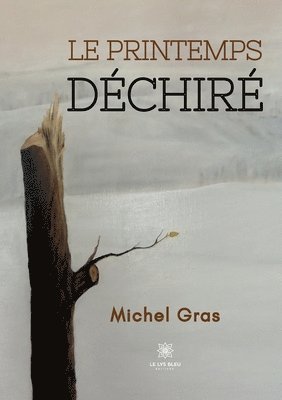 bokomslag printemps déchiré