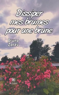 bokomslag Dissiper mes brumes pour une brune