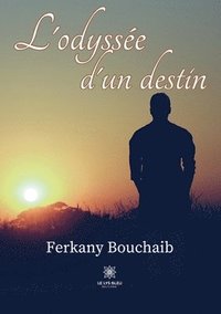 bokomslag L'odyssée d'un destin