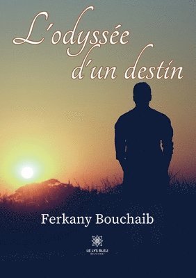 bokomslag L'odysse d'un destin