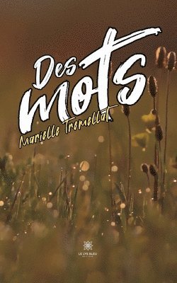 bokomslag Des mots