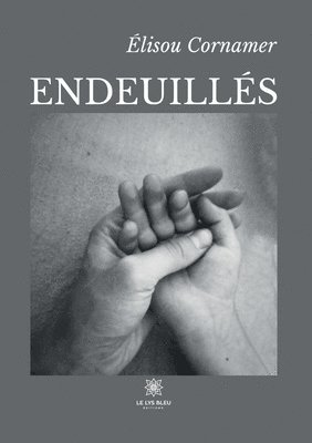 bokomslag Endeuillés
