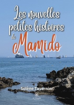 bokomslag Les nouvelles petites histoires de Mamido