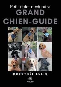 bokomslag Petit chiot deviendra grand chien-guide