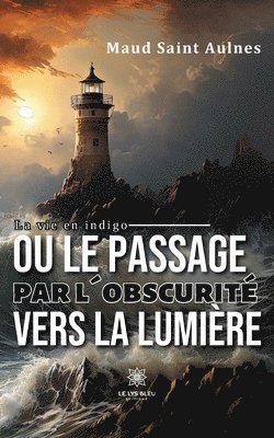 bokomslag La vie en indigo ou le passage par l'obscurit vers la lumire