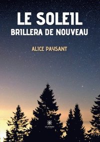 bokomslag soleil brillera de nouveau