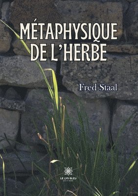 bokomslag Mtaphysiquede l'herbe