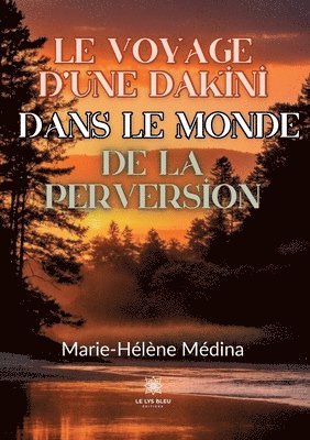 bokomslag voyage d'une Dakini dans le monde de la perversion