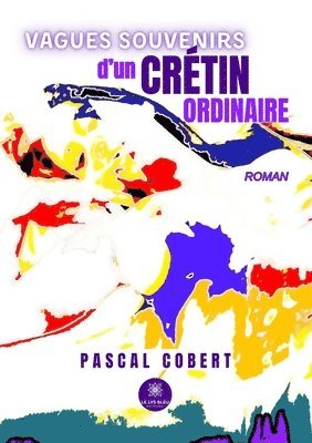 bokomslag Vagues souvenirs d'un crétin ordinaire
