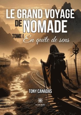 bokomslag Le grand voyage de Nomade