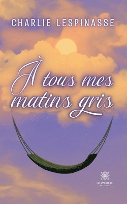bokomslag À tous mes matins gris