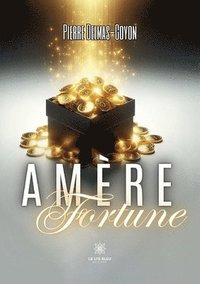 bokomslag Amre Fortune