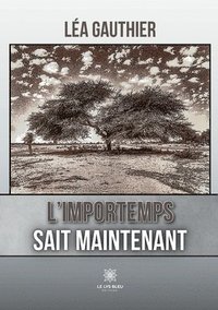 bokomslag L'importemps sait maintenant