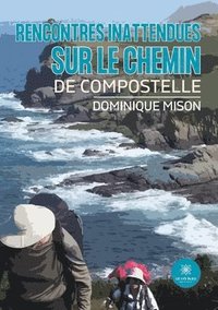 bokomslag Rencontres inattendues sur le chemin de Compostelle