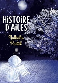 bokomslag Histoire d'ailes