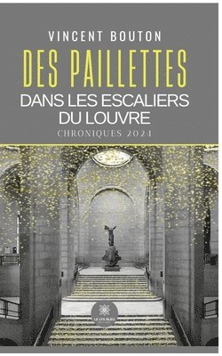 bokomslag Des paillettes dans les escaliers du Louvre