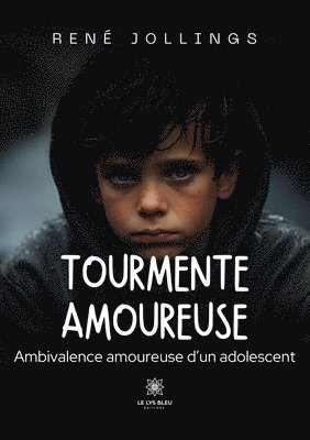 bokomslag Tourmente amoureuse