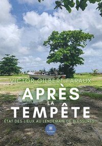 bokomslag Après la tempête