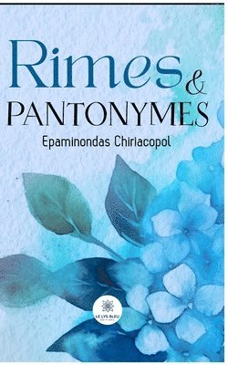bokomslag Rimes et pantonymes