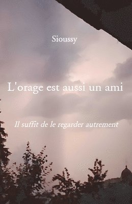 bokomslag L'orage est aussi un ami