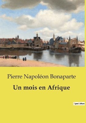 Un mois en Afrique 1