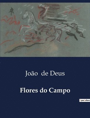 João de Deus, João - Flores do Campo, Häftad