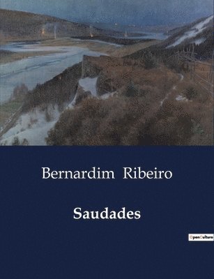 Bernardim Ribeiro - Saudades, Häftad