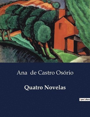 bokomslag Quatro Novelas